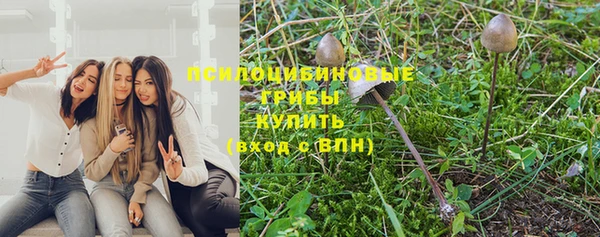 дживик Вяземский