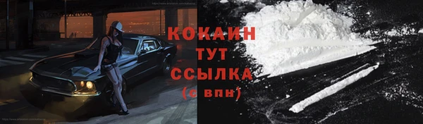 дживик Вяземский
