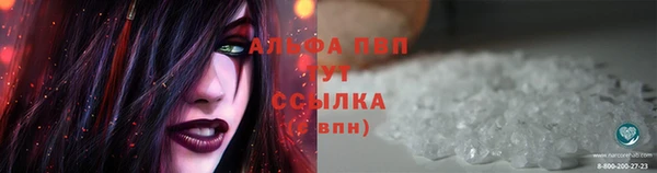 гашик Вязники