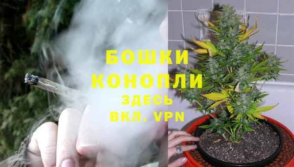 гашик Вязники