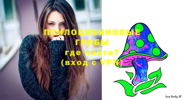 дживик Вяземский