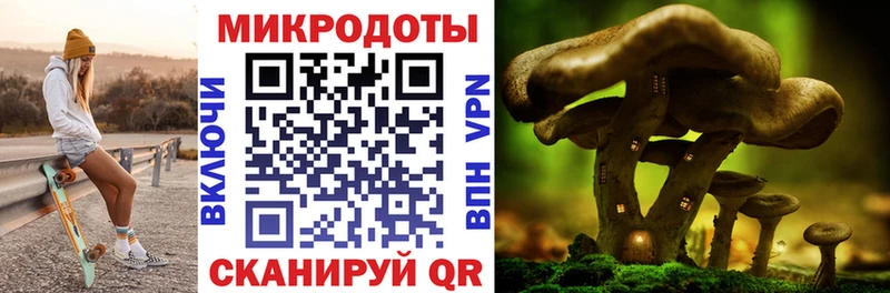 ОМГ ОМГ как войти  Приволжский  Галлюциногенные грибы Psilocybine cubensis  магазин   